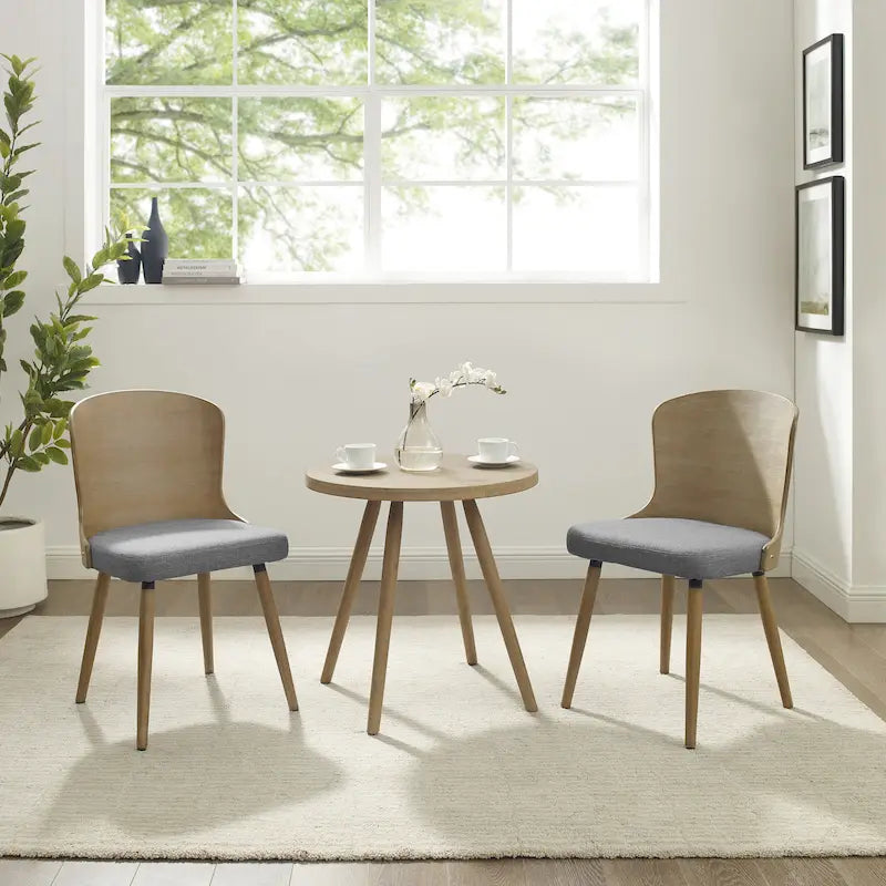 Mid-century Modern Dining Chairs (Set of 2)