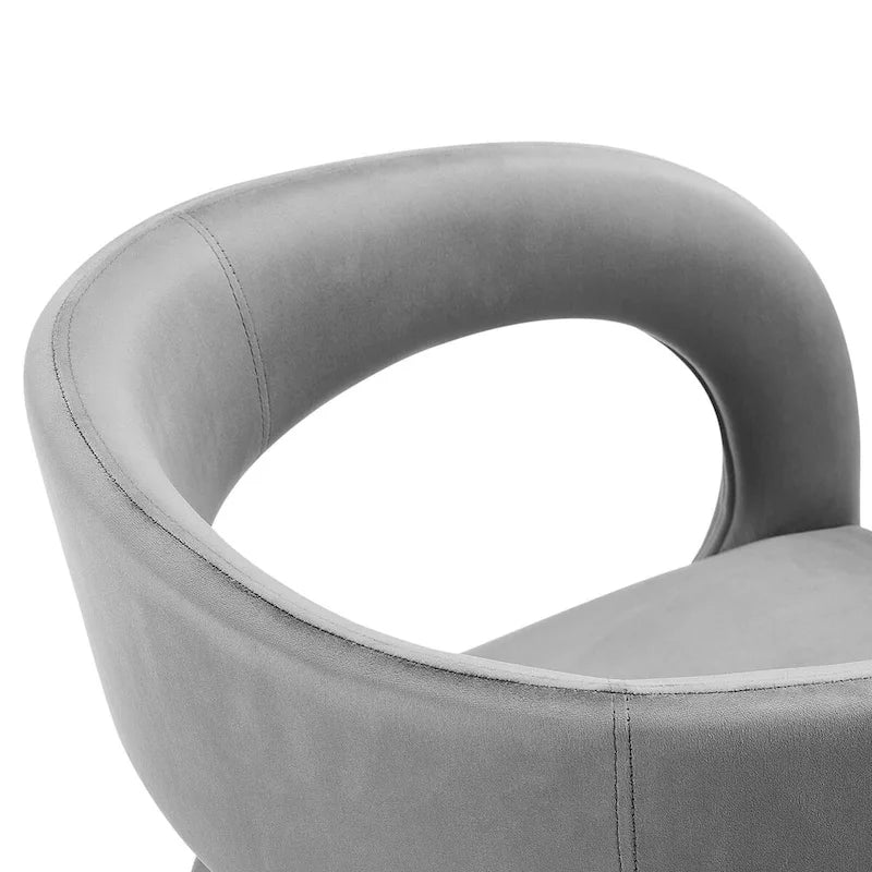 Velvet Dining Chair Set of Two